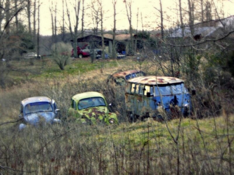 Volkswagens caught in the weeds in Tennessee