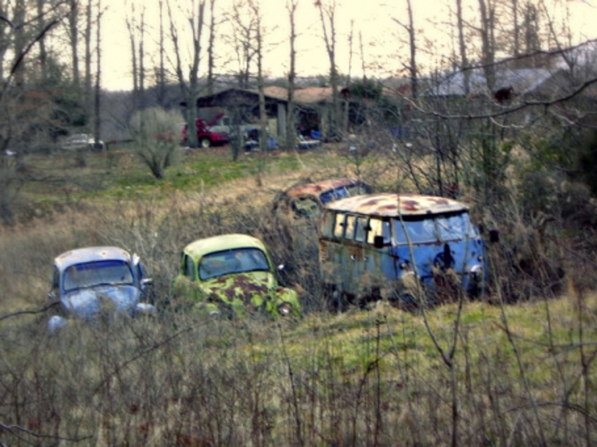 Volkswagens caught in the weeds in Tennessee