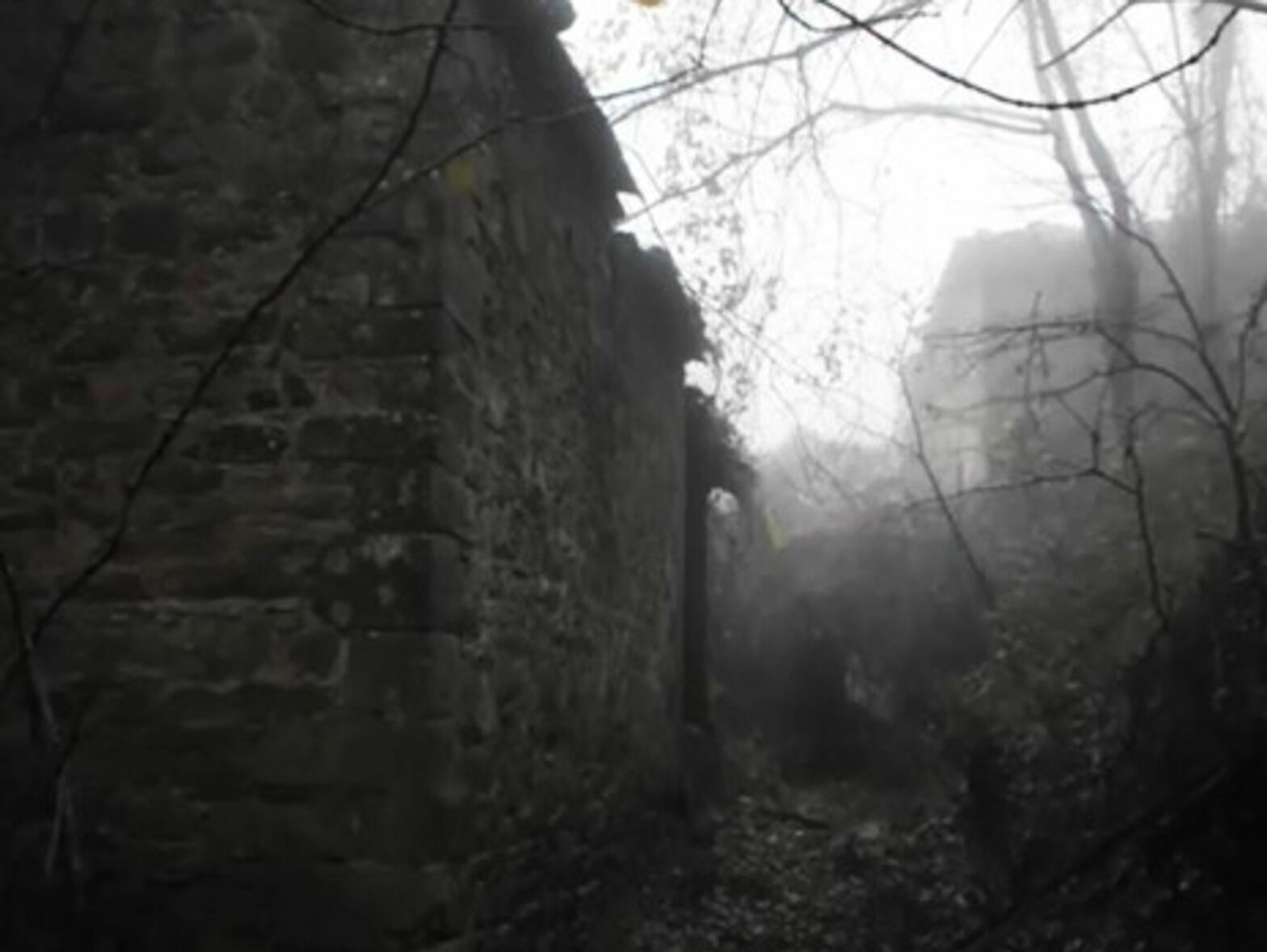 Want to make a bid on the Borgo? (pelletica)