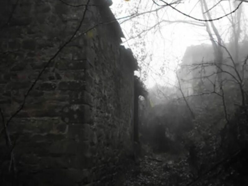 Want to make a bid on the Borgo? (pelletica)