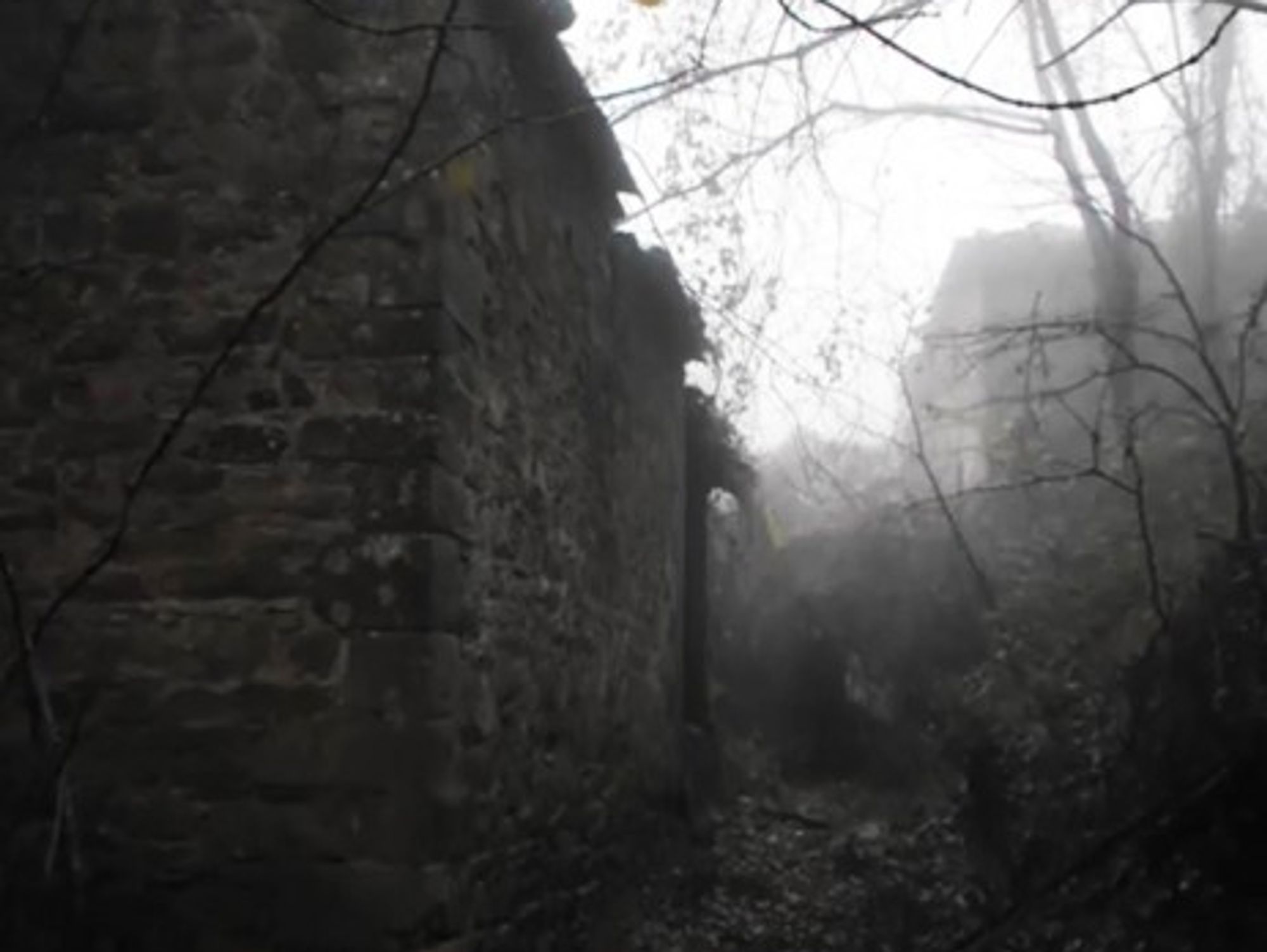 Want to make a bid on the Borgo? (pelletica)