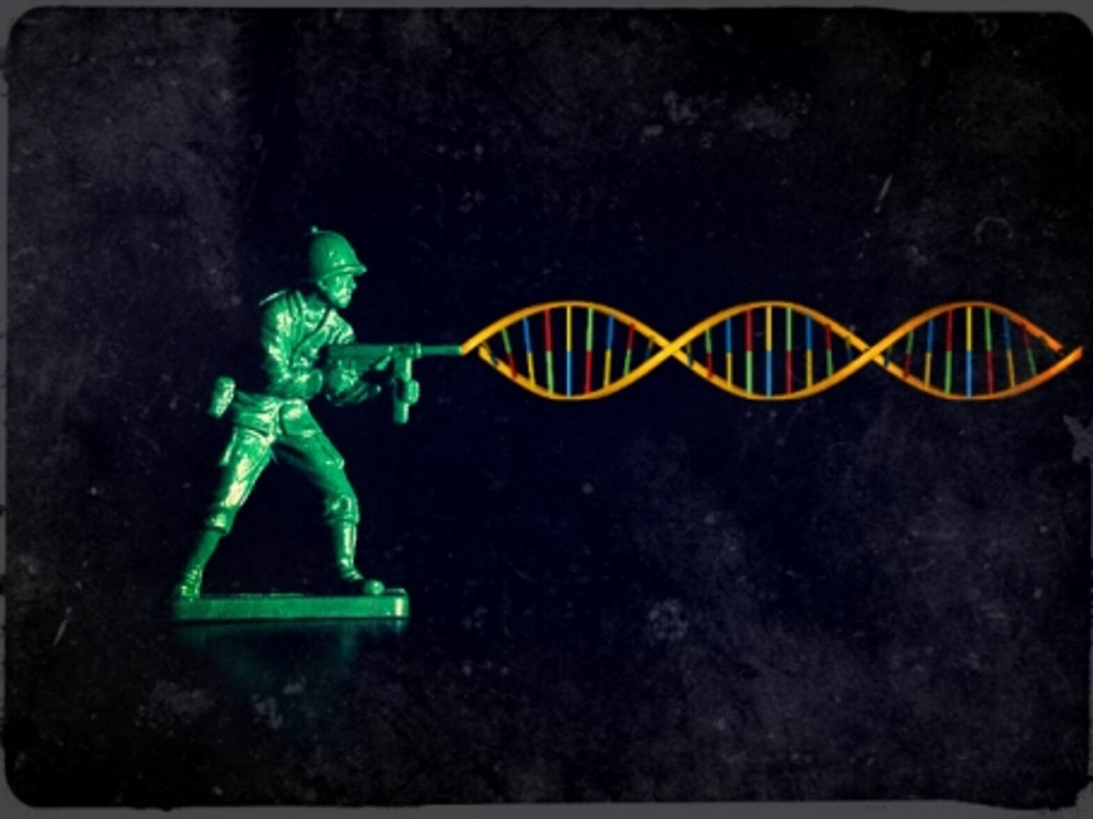 War genes