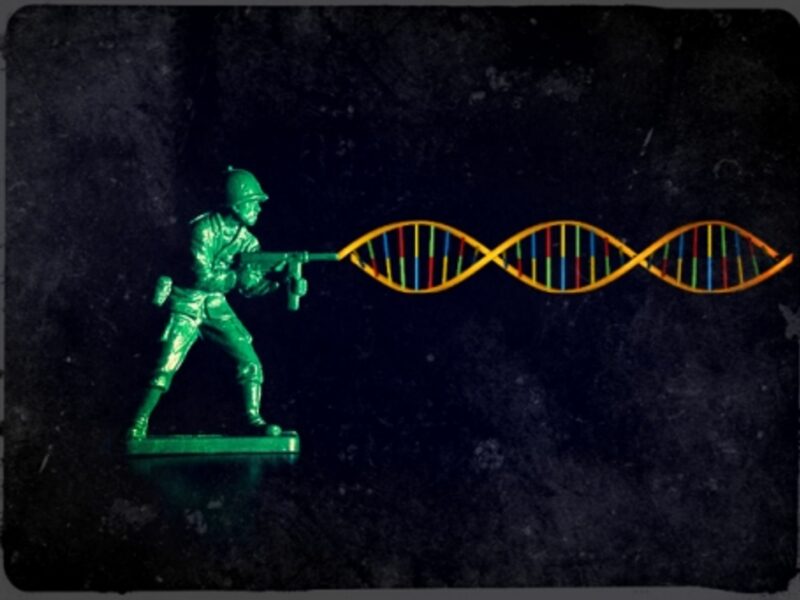 War genes