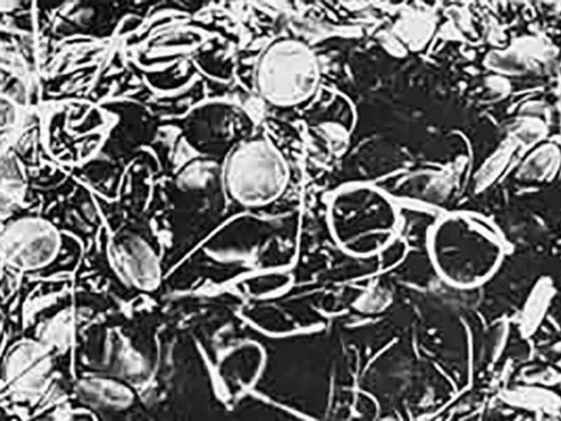 Watch: OneShot — 75 Years Ago, Liberation of Auschwitz