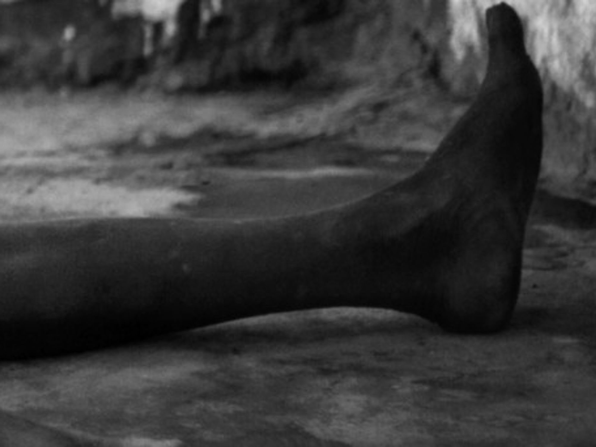 Watch: OneShot — Condemned Man