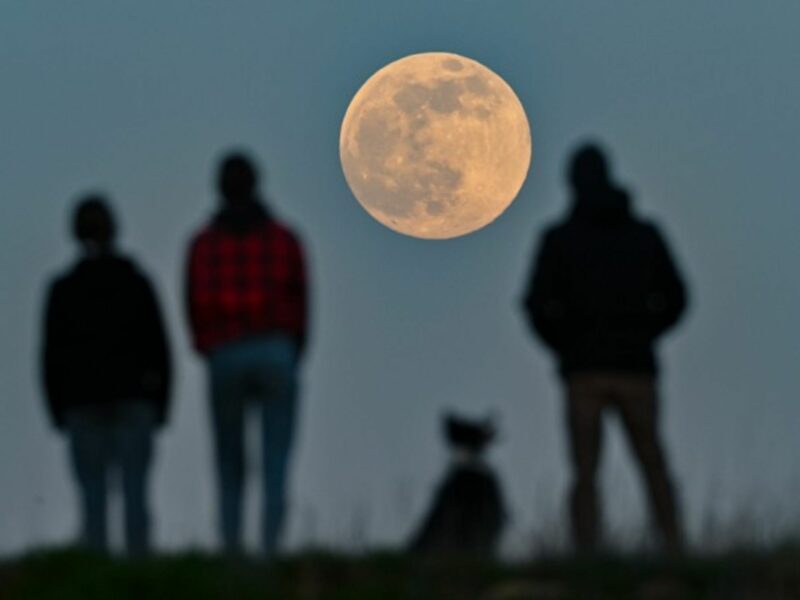 Watching the first “supermoon” (the name given to a full moon that occurs when the moon is closest to the Earth) of 2021 in Sieversdorf, Germany