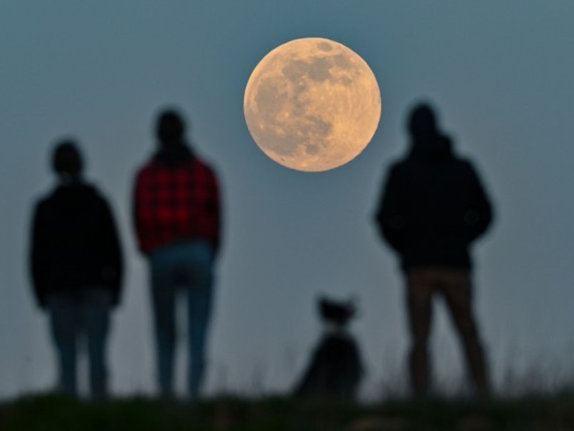 Watching the first “supermoon” (the name given to a full moon that occurs when the moon is closest to the Earth) of 2021 in Sieversdorf, Germany