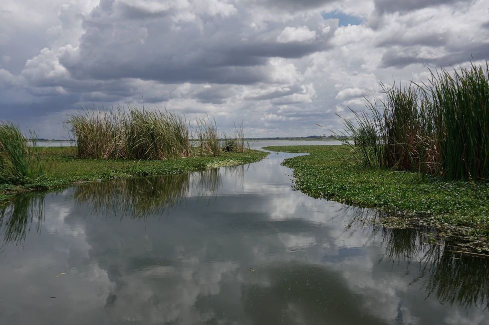 Water of the Darwendale Dam, used to supply nearby town.