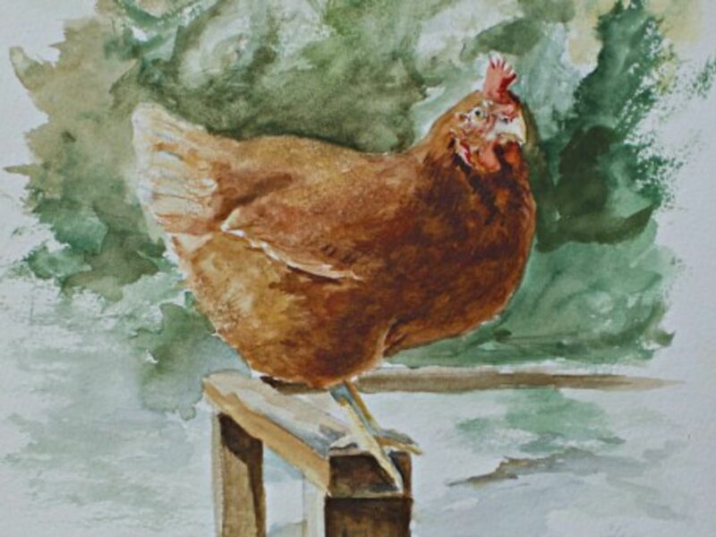 Watercolor by Frank Omier, Emily's husband