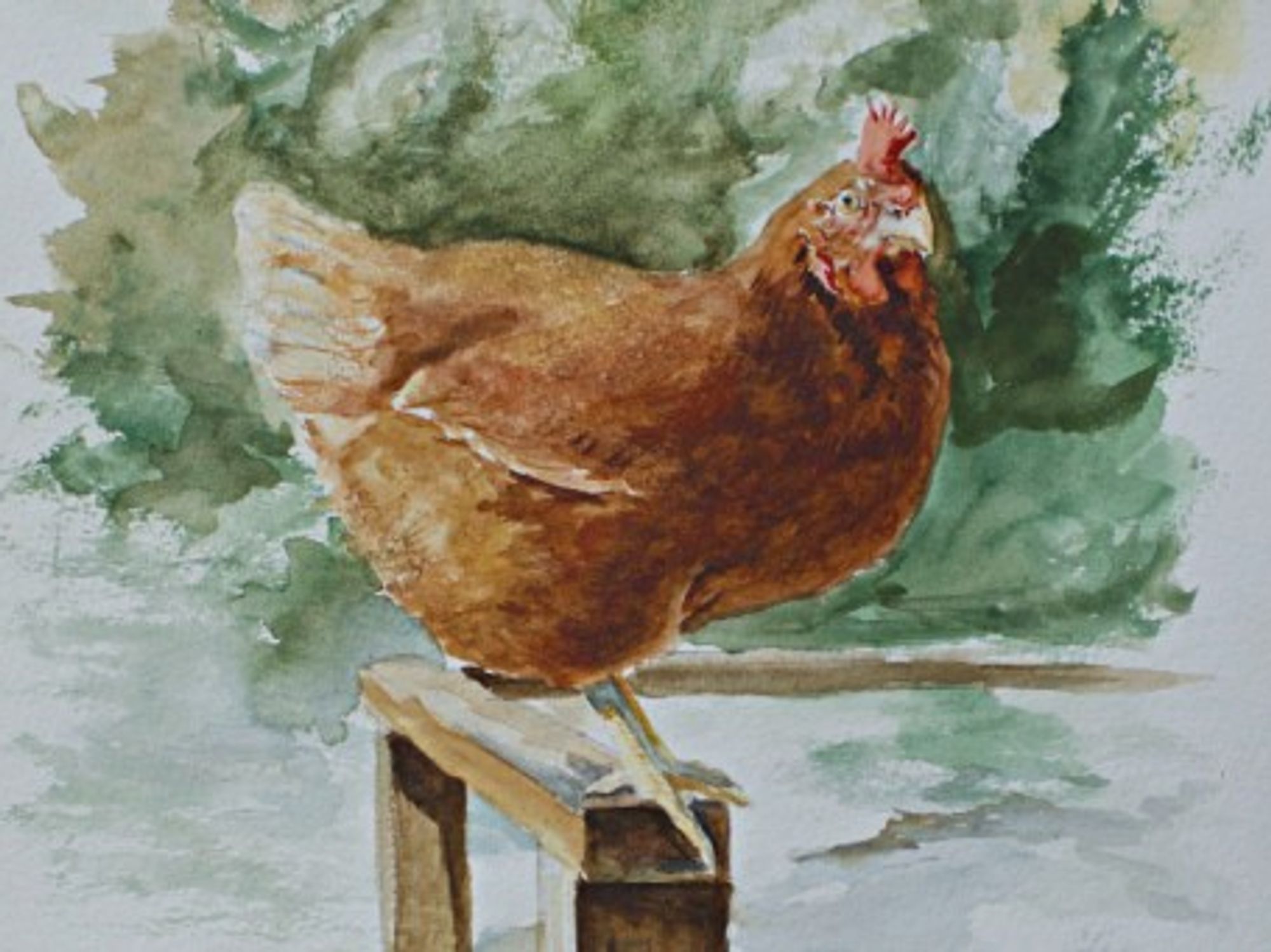 Watercolor by Frank Omier, Emily's husband