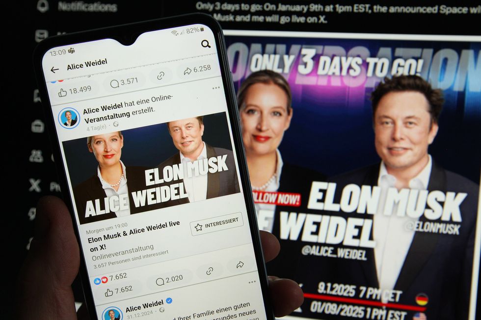 Weidel and Musk in a Facebook Post.