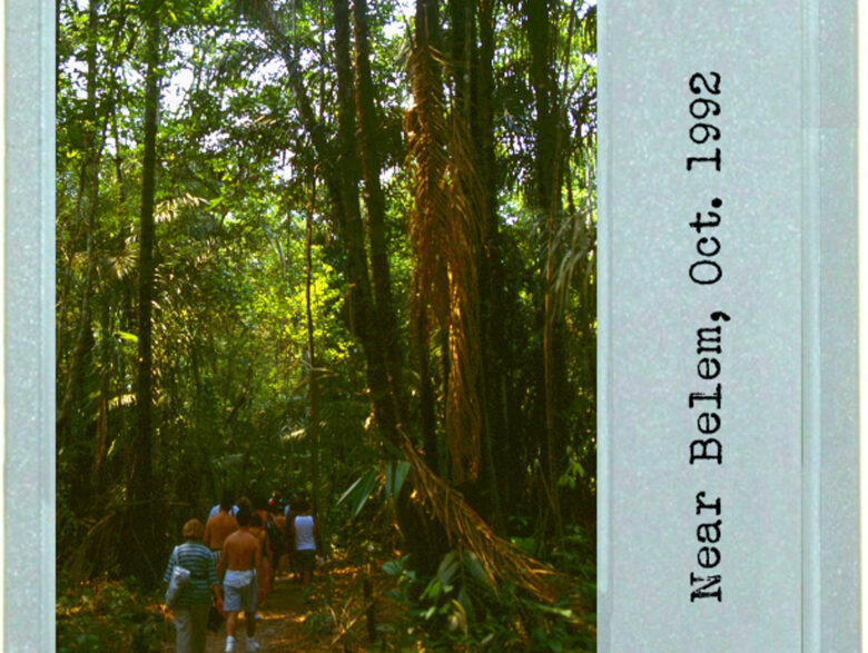 Welcome To The Jungle