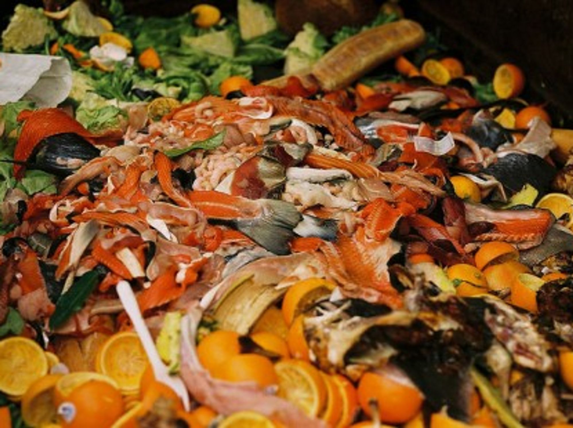 What A Waste: Uneaten Food A Global (And French Gourmand) Problem