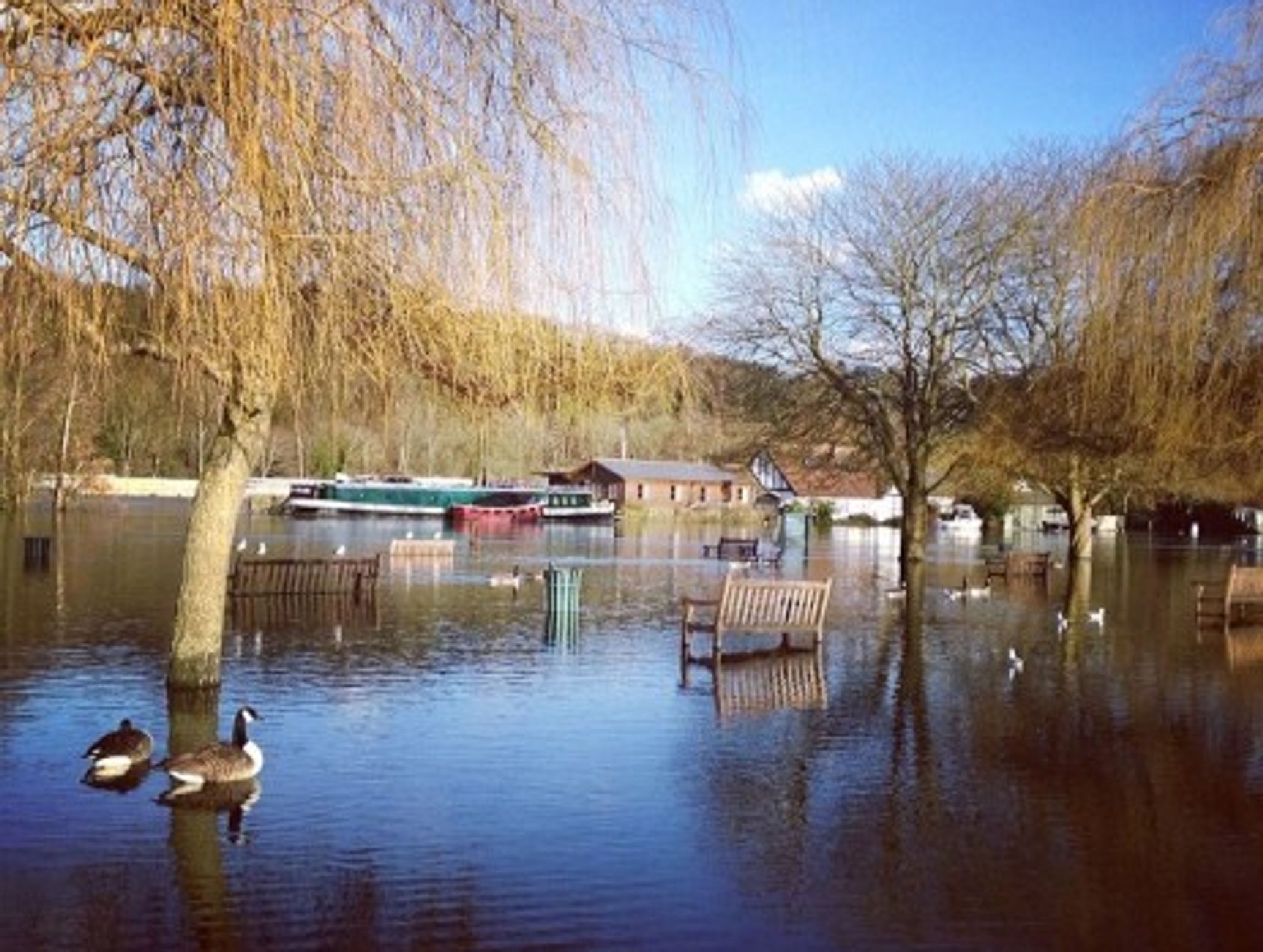 What About The Animals? UK Floods Have Devastating Impact On Nature