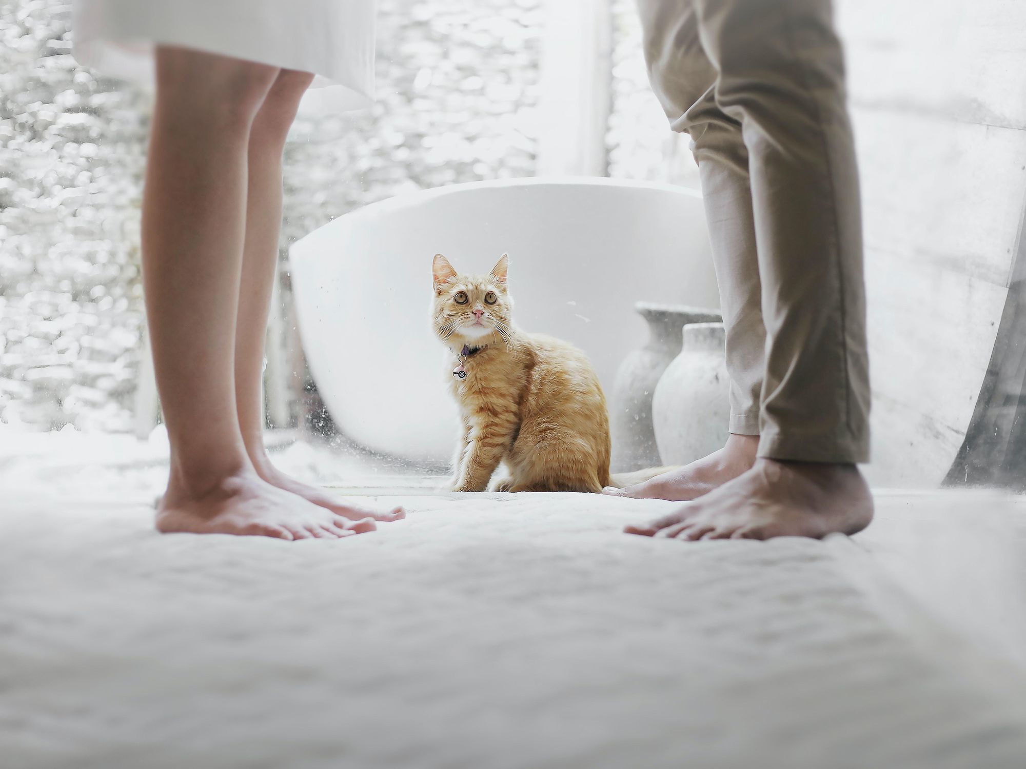 In Argentina, A Pet Custody Battle Leads To "Multi-Species Family" Legal Status