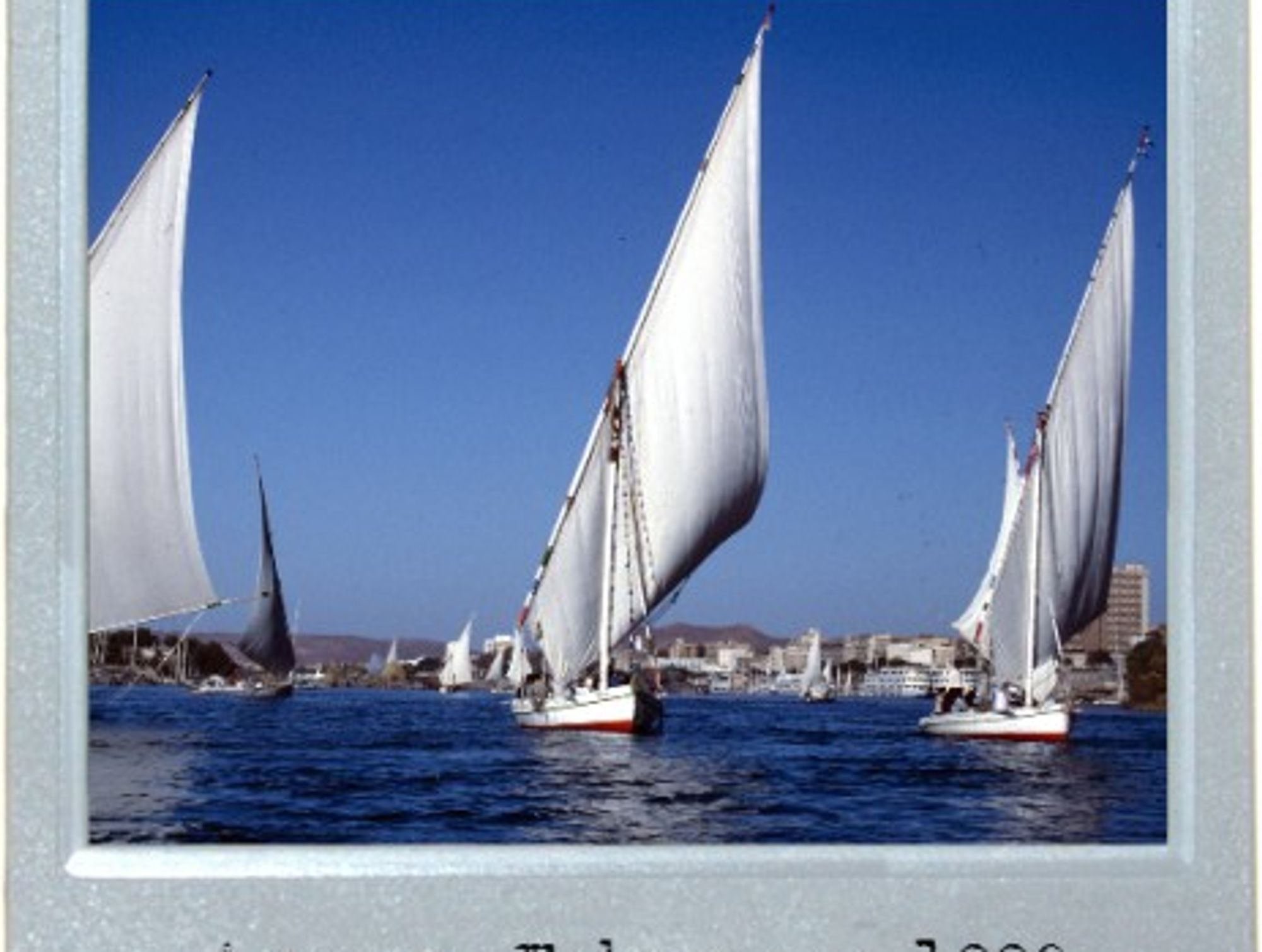 White Feluccas, Blue Nile