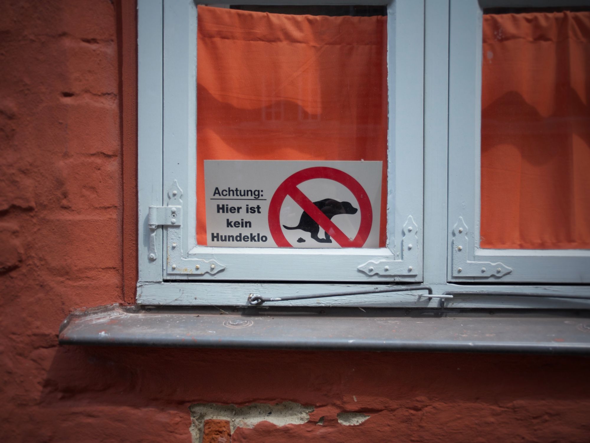 White wooden window frame showing a sign forbidding dog poop