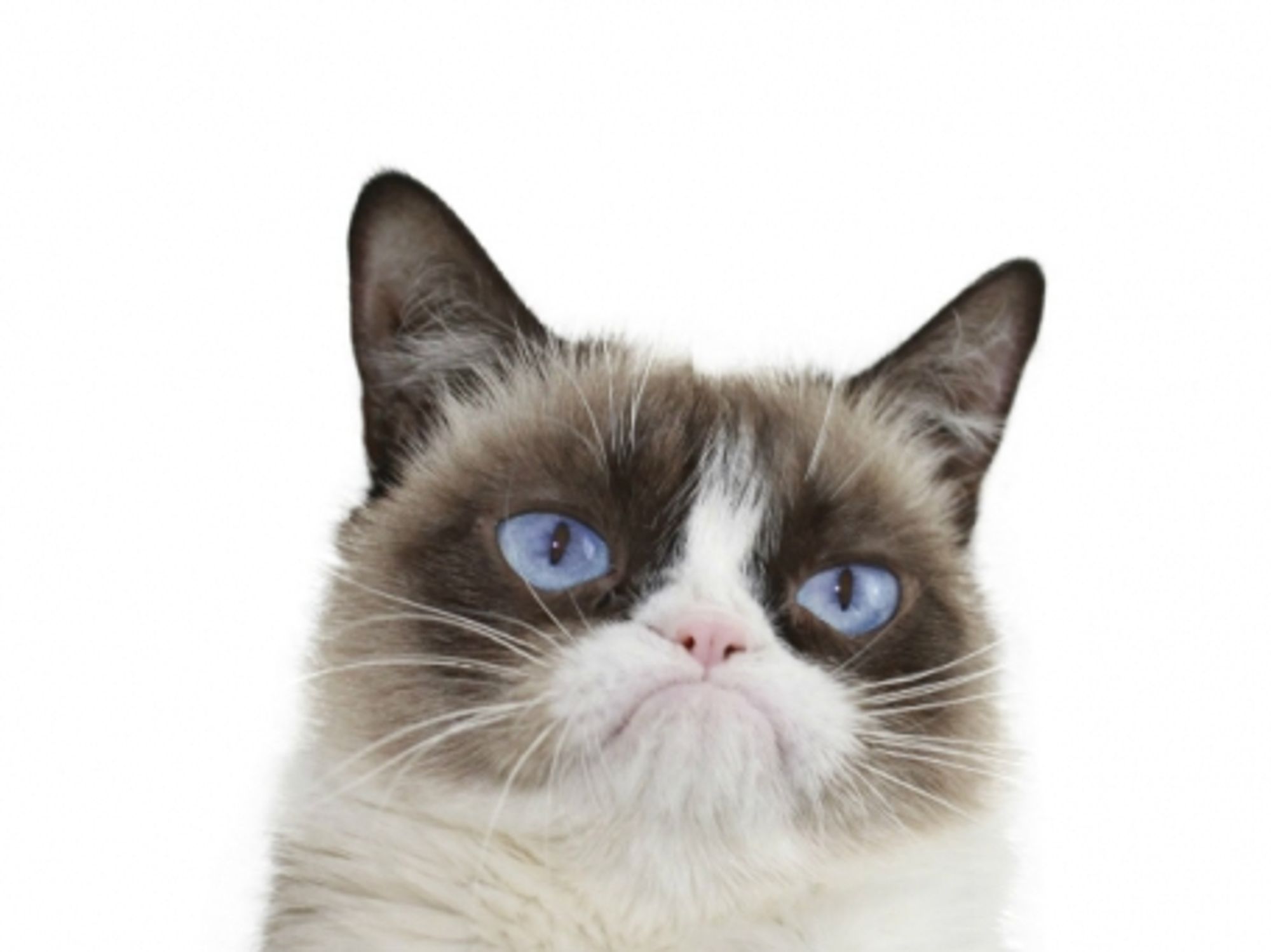 Why so grumpy?