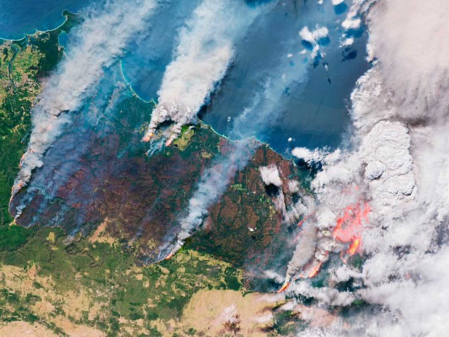 Wildfires across Australia photographed from satellite on 31 December 2019
