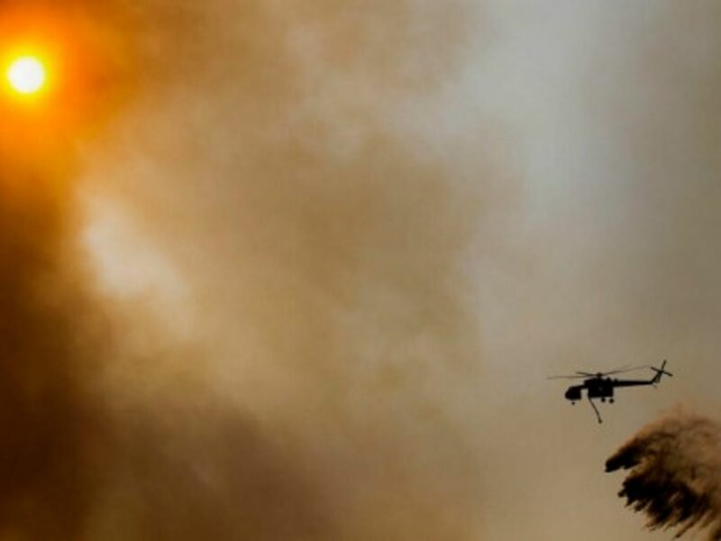 Wilfires still rage in California's San Diego County