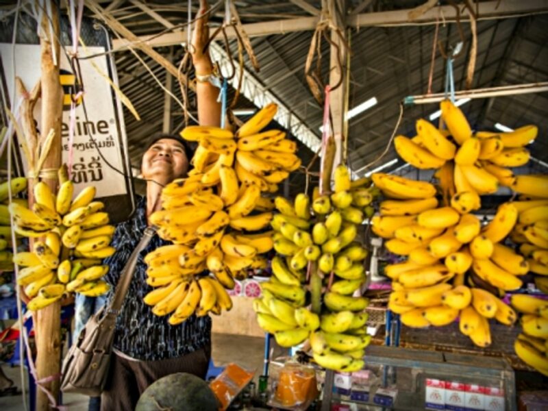 Woman selling bananas north of Vientiane, Laos.