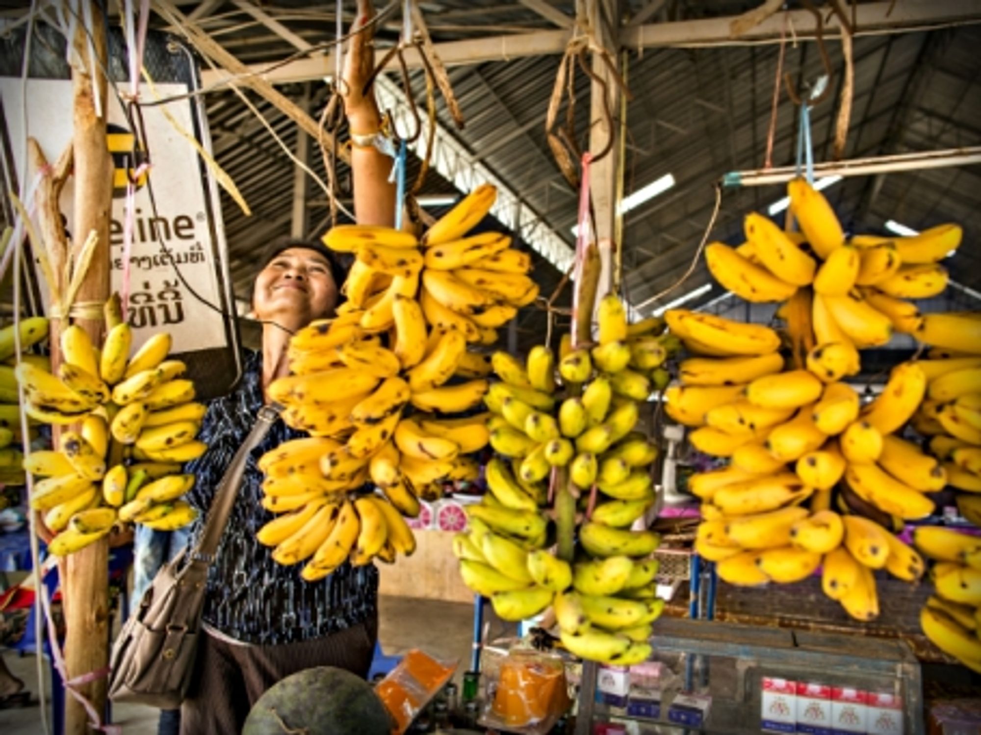 Woman selling bananas north of Vientiane, Laos.