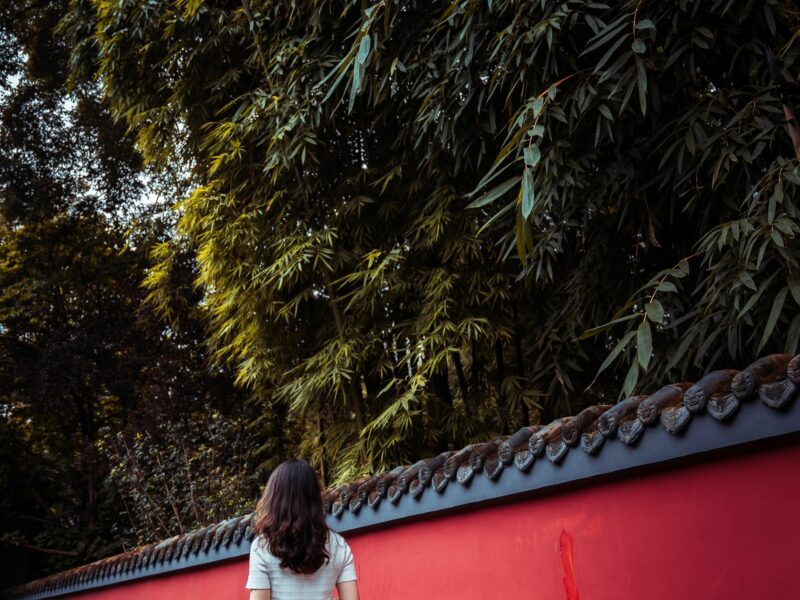 Woman walks down the street in China
