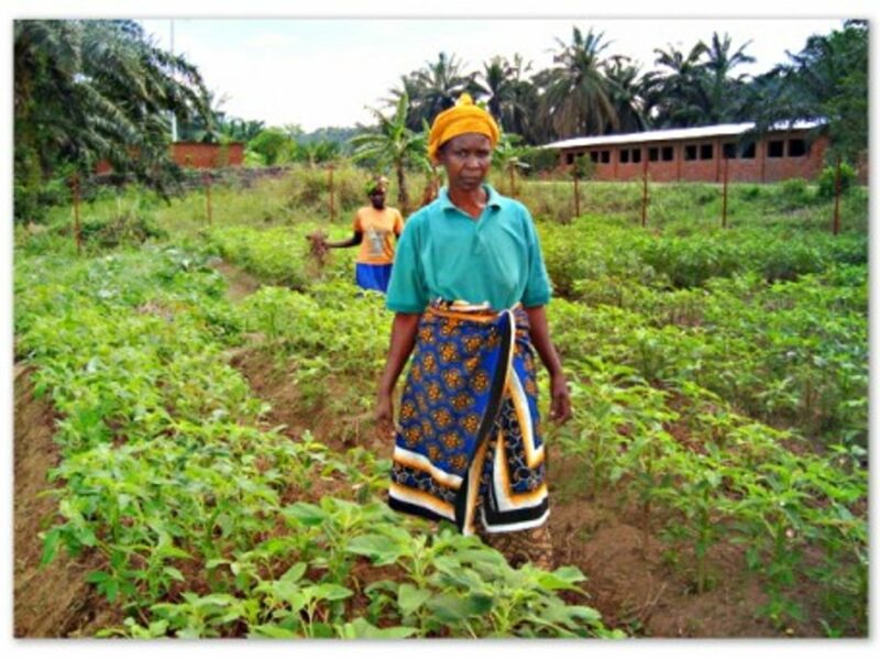 Women farmers in Bitare, Burundi