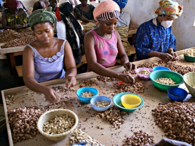 Women in Burkina Faso prepare cashews for packaging.