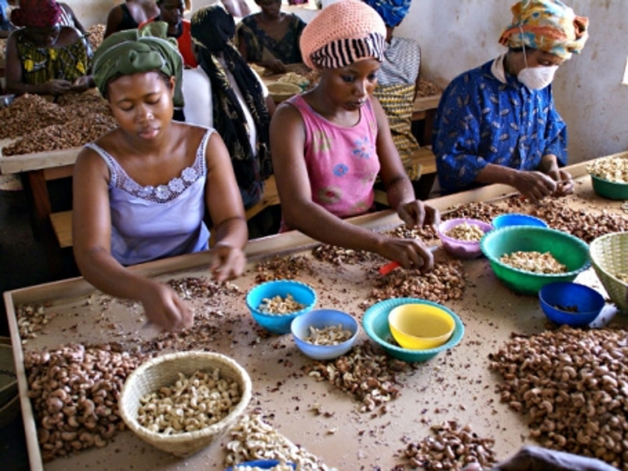 Women in Burkina Faso prepare cashews for packaging.