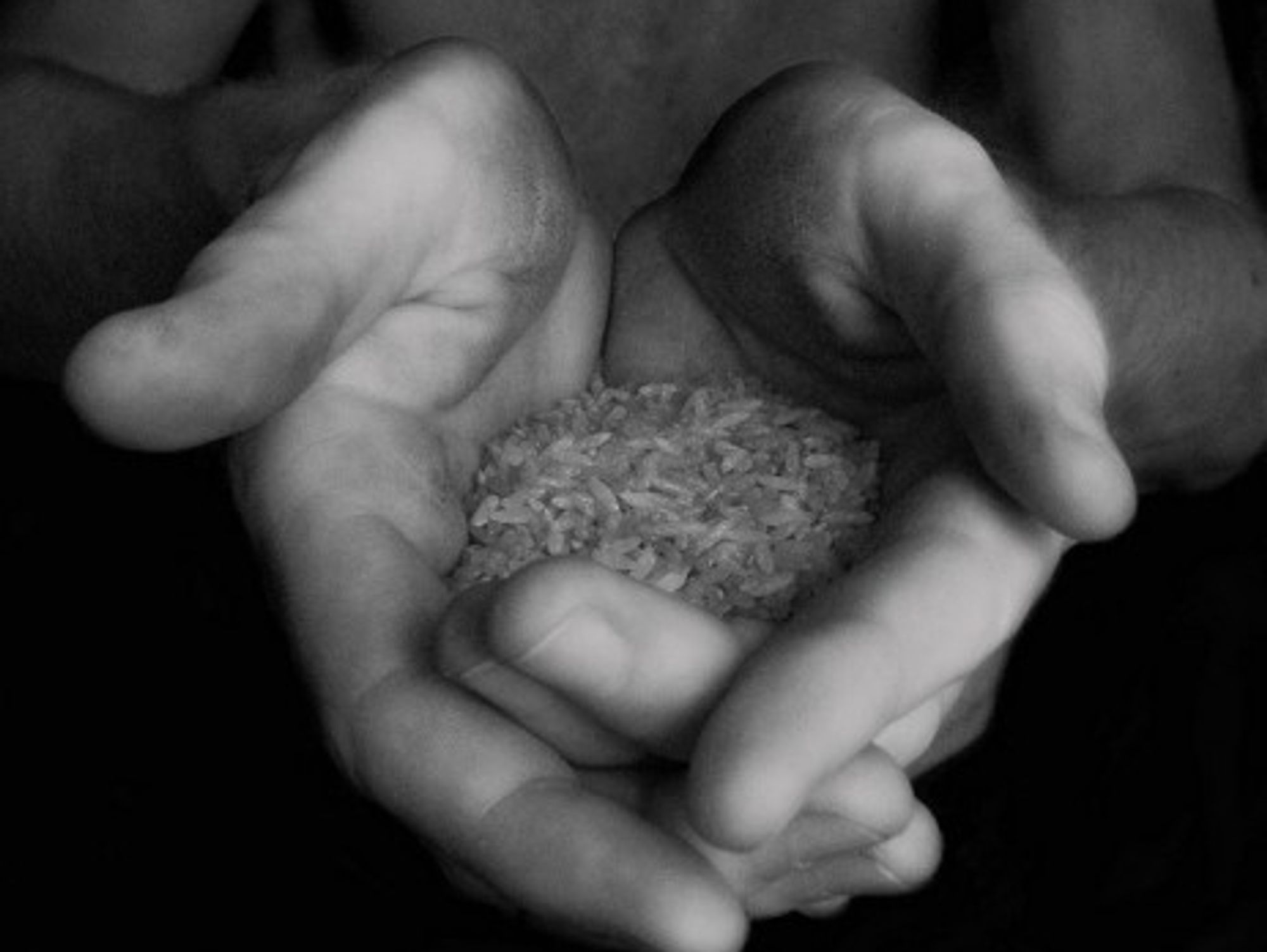 Worldwide there are some 170,000 varieties of rice (Mr. Kris)