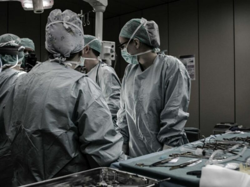 Xenophobia often borrows metaphors from immunology