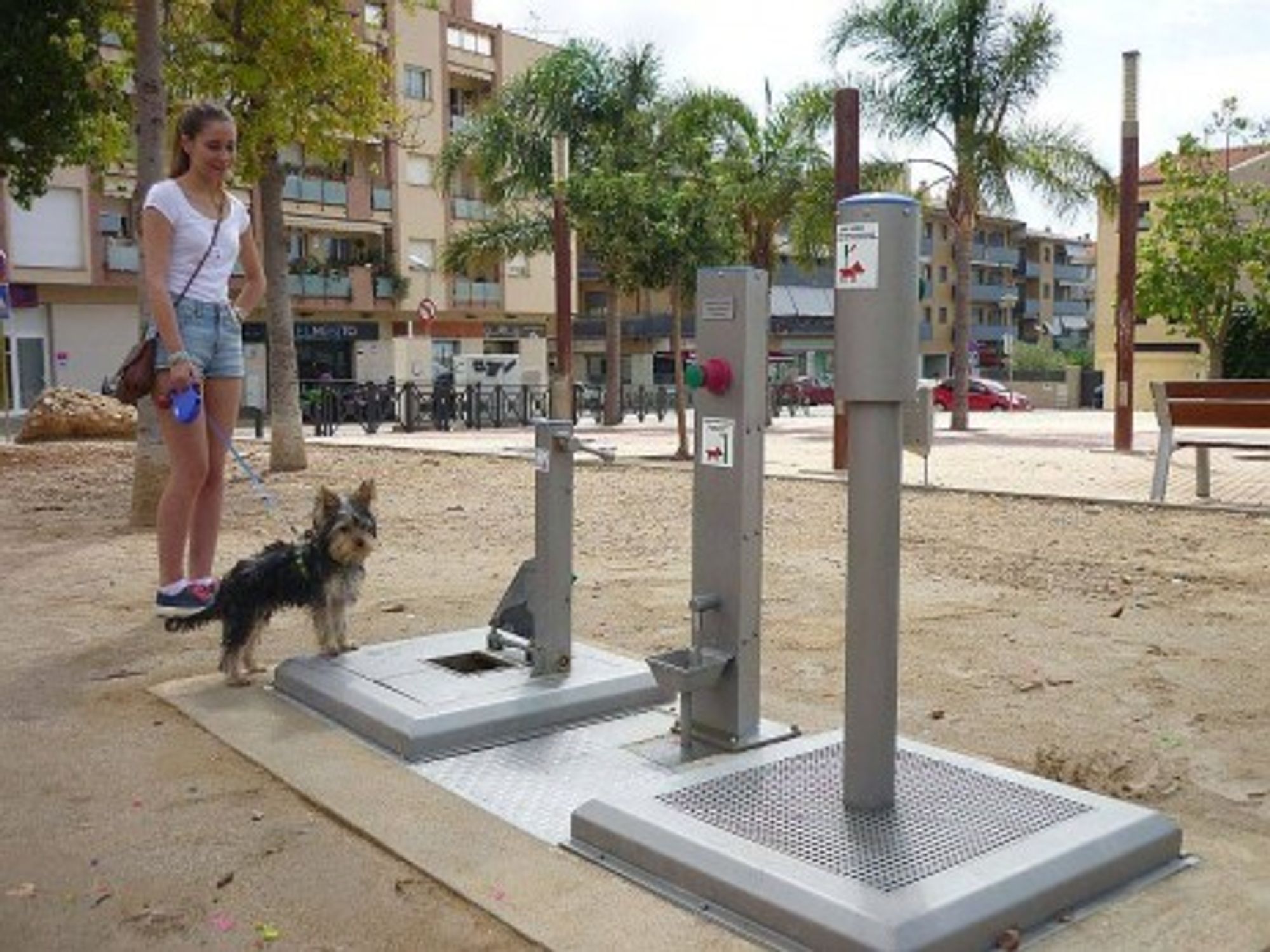 Yes Folks, Public Toilets For Dogs Have Arrived