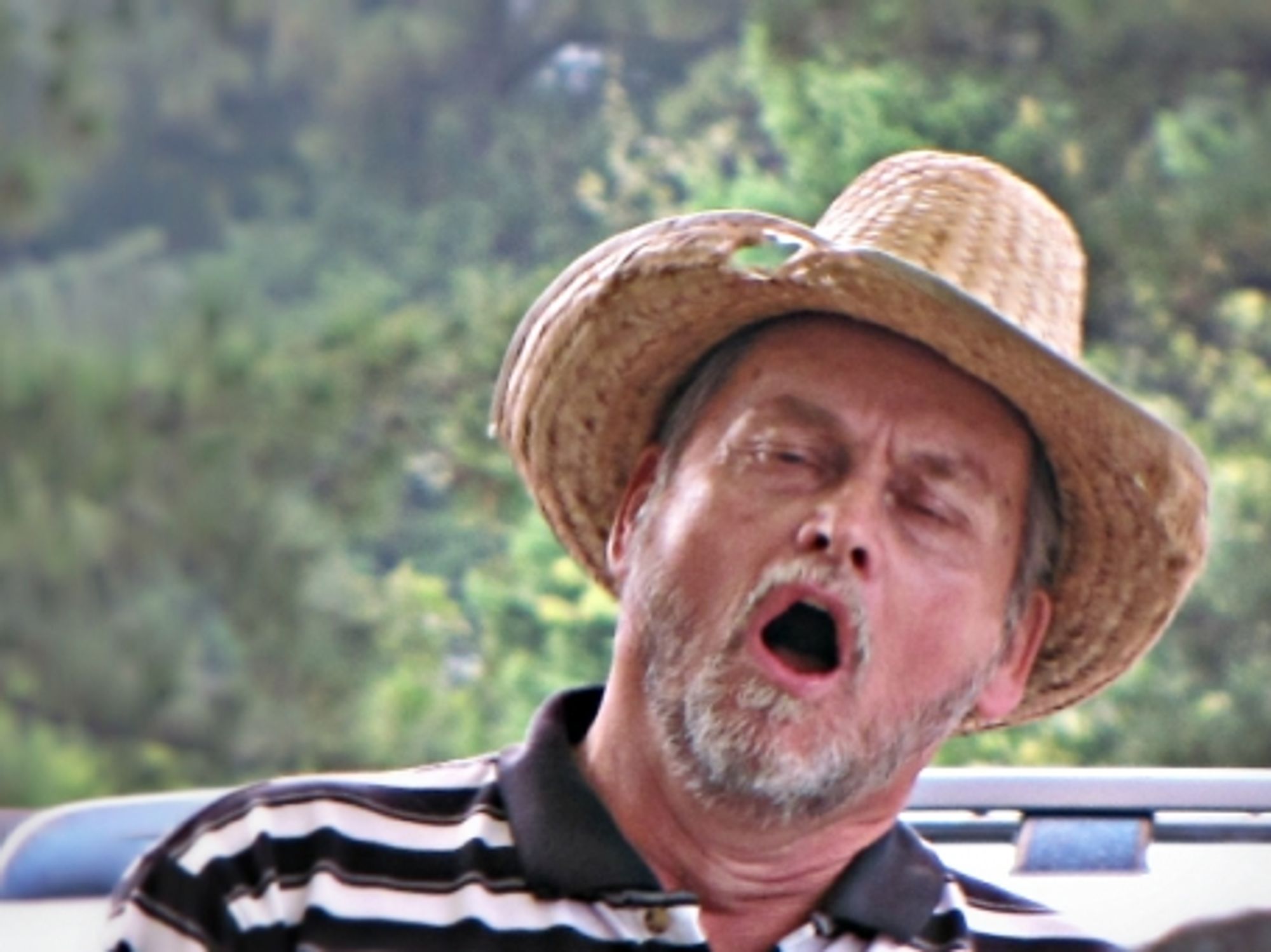 Yodeling in the USyodelA