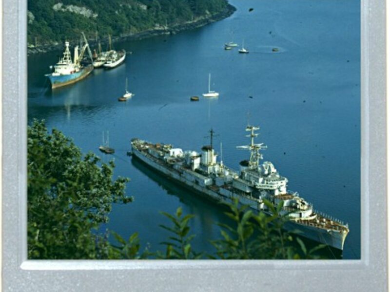You Shot My Battleship!