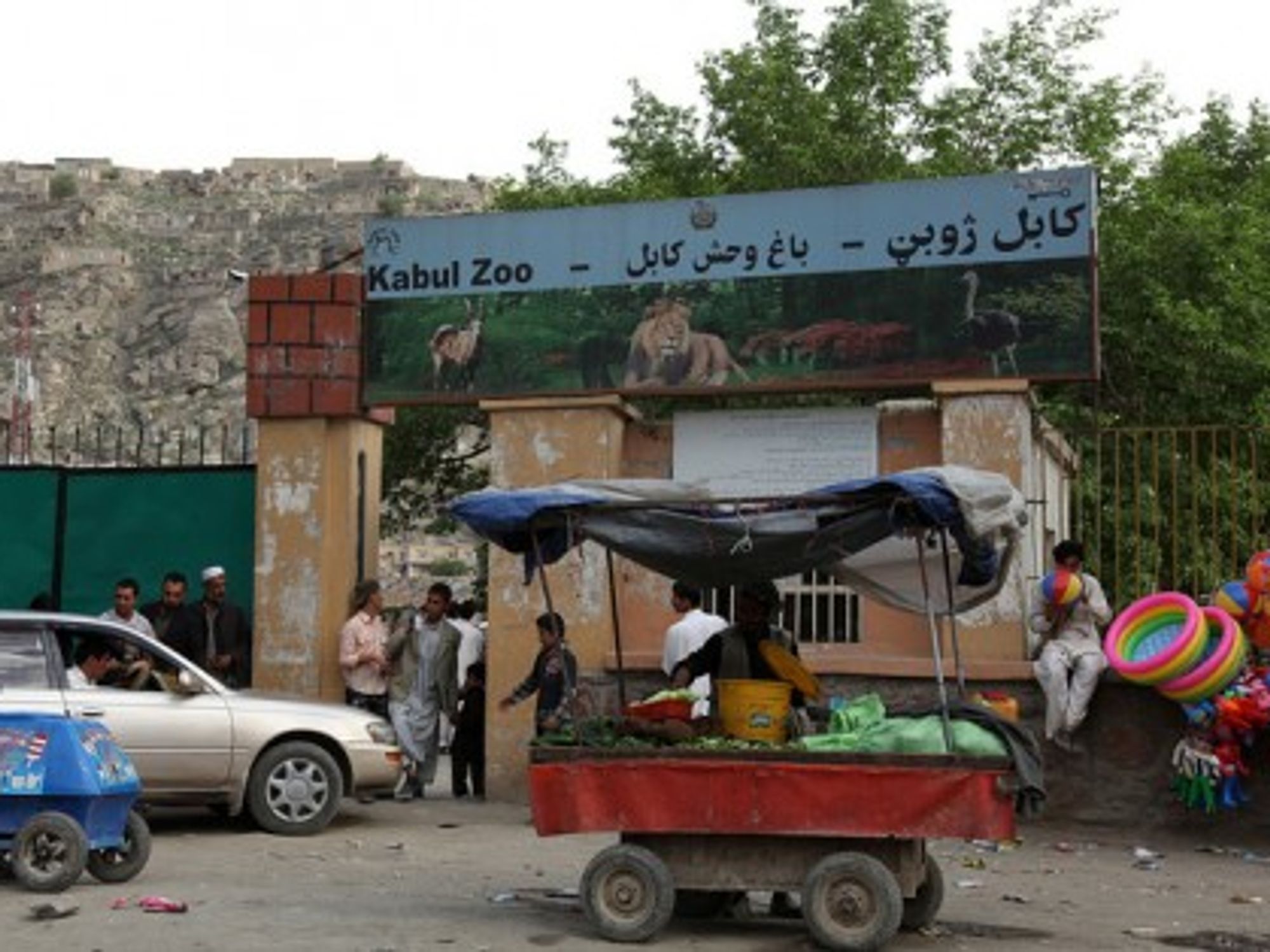 Zabul zoo: a quiet oasis (Jeremy Weate)
