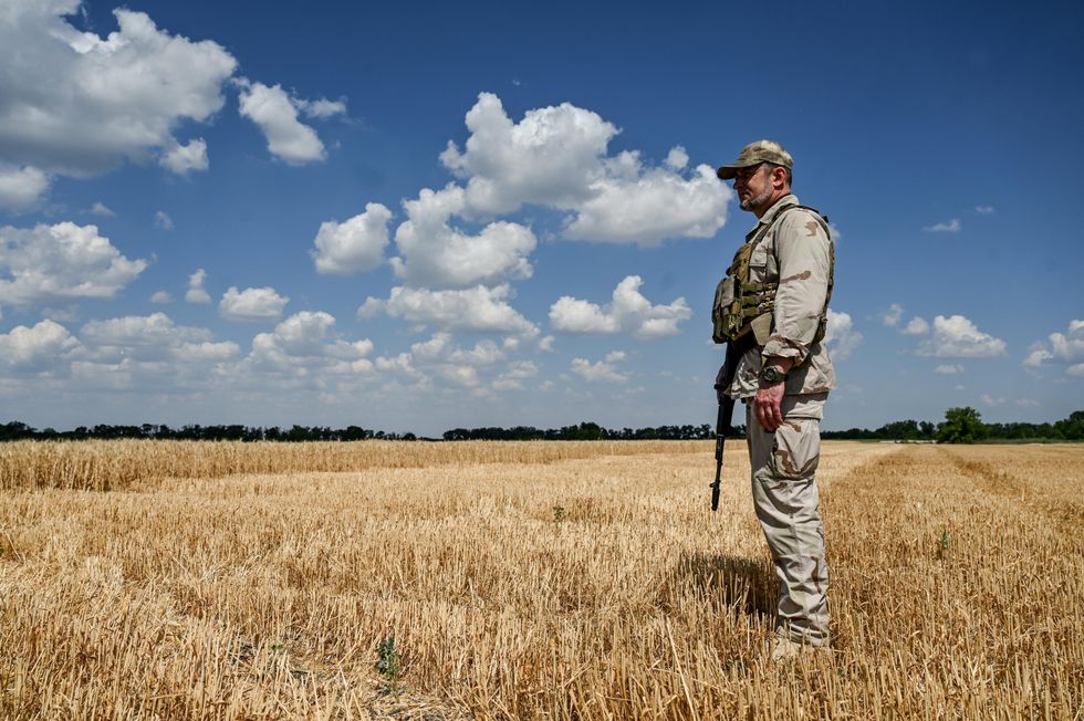 Zaporizhzhia farmers have started to harvest crops