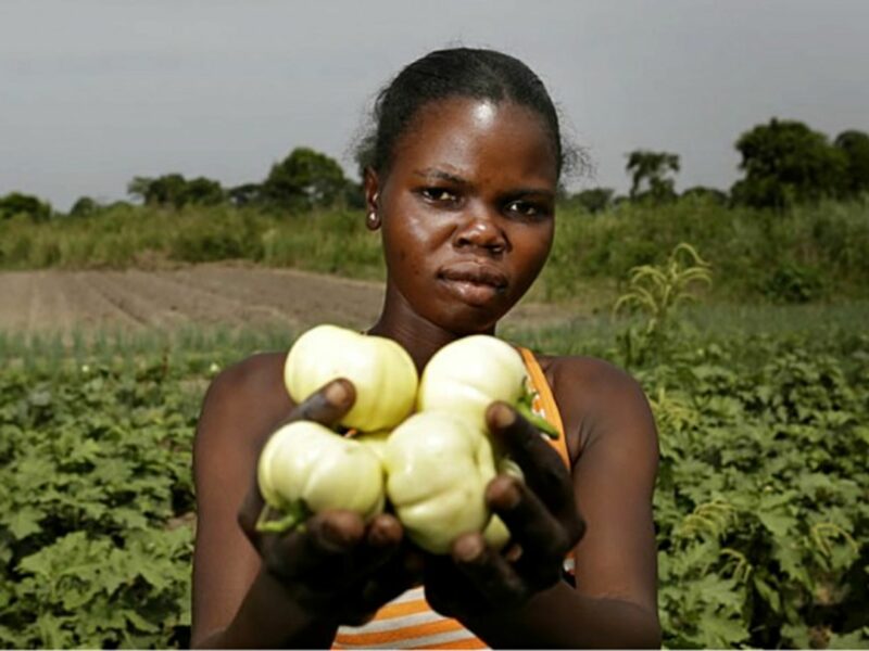 Zimbabwean woman in agriculture