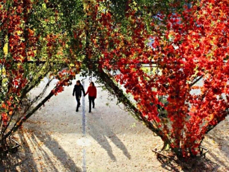 Zurich's MFO Park has sound in mind