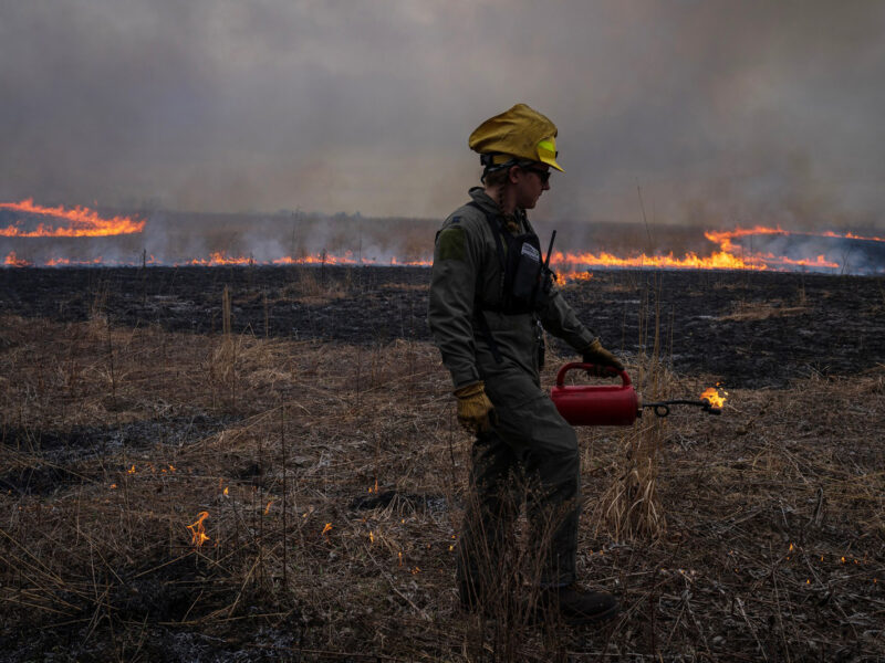 Restoration technician Jacob Churulo guides the controlled burn at Nachusa Grasslands