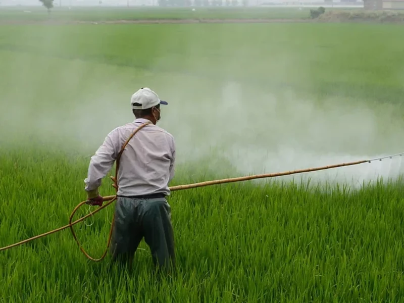 Photo of a man spraying a field with pesticides.