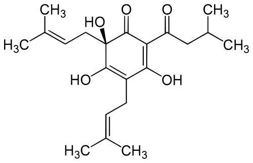 Worldcrunch Library 27086266