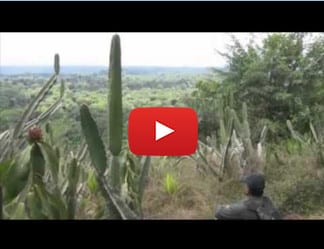 Worldcrunch Library 27089680