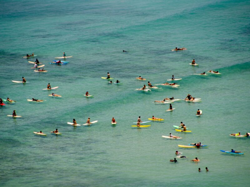 surfers