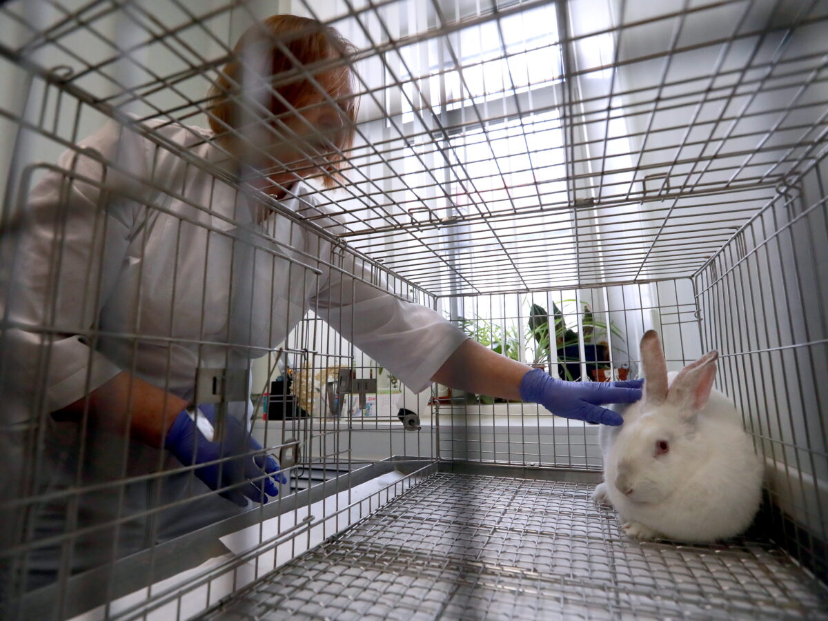 A Wide Defense Of Animal Testing — Even When It’s Just To Improve Science