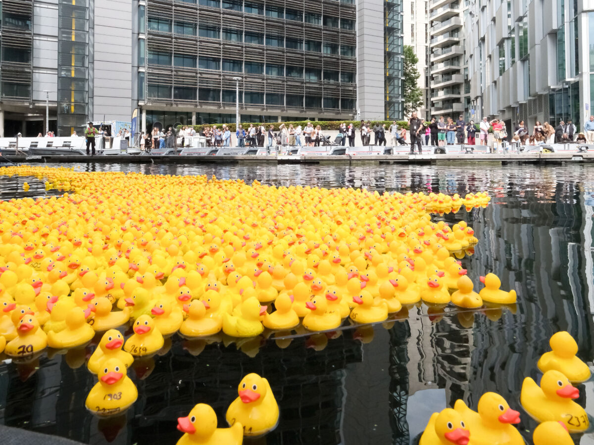 Photos Of The Week: Tsunami Scare, Swimming King, Qwacky Race