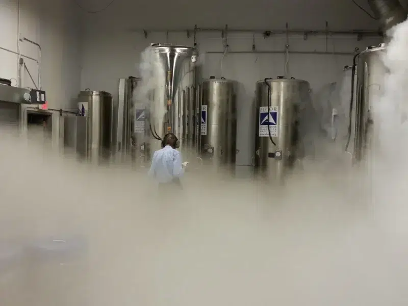 Cryogenic storage pods at Alcor