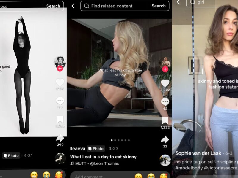 Tiktok videos from "skinnytok"