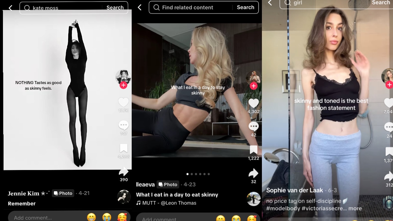 Tiktok videos from "skinnytok"