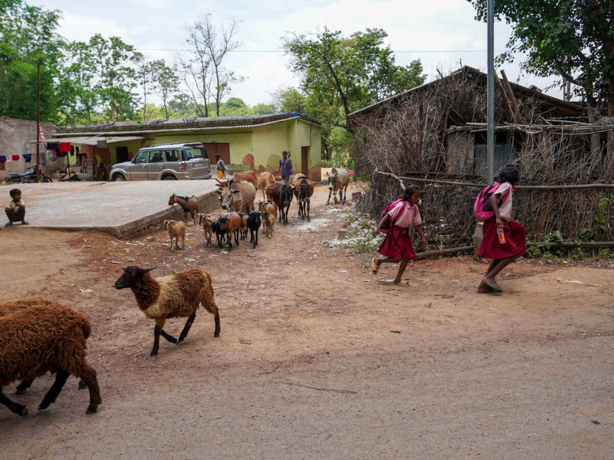 India’s Indigenous, Caught Between Gods And Modi